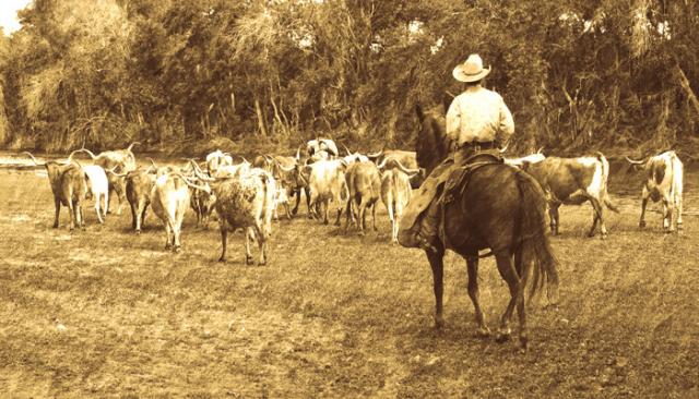 git-along-little-dogies